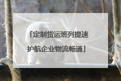 定制货运班列提速 护航企业物流畅通