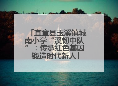 宜章县玉溪镇城南小学“溪韧中队”：传承红色基因 锻造时代新人