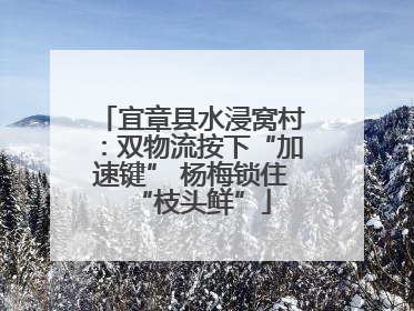 宜章县水浸窝村：双物流按下“加速键” 杨梅锁住“枝头鲜”