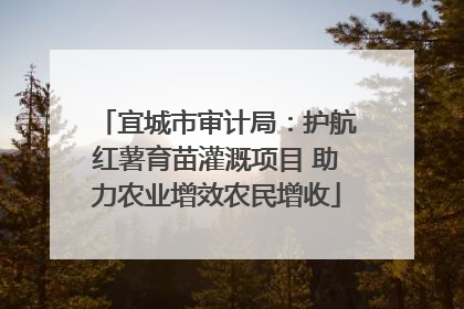 宜城市审计局：护航红薯育苗灌溉项目 助力农业增效农民增收