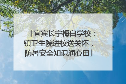 宜宾长宁梅白学校：镇卫生院进校送关怀，防暑安全知识润心田