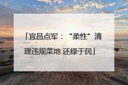 宜昌点军：“柔性”清理违规菜地 还绿于民