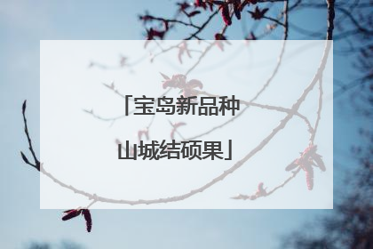 宝岛新品种 山城结硕果