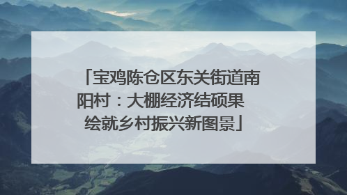 宝鸡陈仓区东关街道南阳村：大棚经济结硕果 绘就乡村振兴新图景