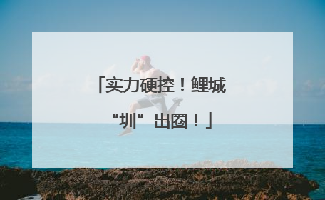 实力硬控！鲤城“圳”出圈！