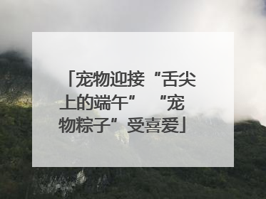宠物迎接“舌尖上的端午” “宠物粽子”受喜爱