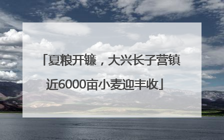 夏粮开镰，大兴长子营镇近6000亩小麦迎丰收