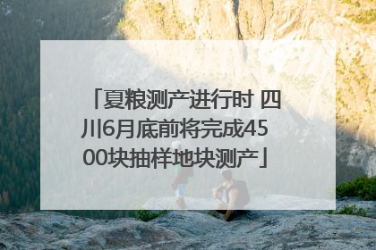 夏粮测产进行时 四川6月底前将完成4500块抽样地块测产