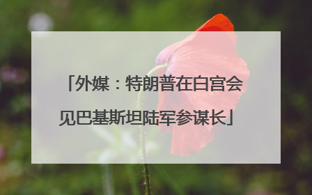 外媒：特朗普在白宫会见巴基斯坦陆军参谋长