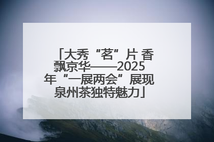 大秀“茗”片 香飘京华——2025年“一展两会”展现泉州茶独特魅力