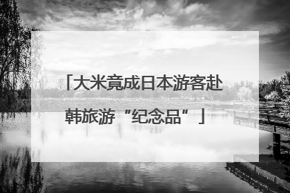 大米竟成日本游客赴韩旅游“纪念品”