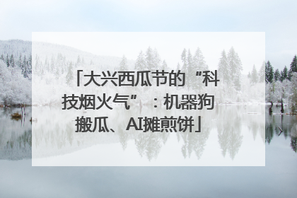 大兴西瓜节的“科技烟火气”：机器狗搬瓜、AI摊煎饼