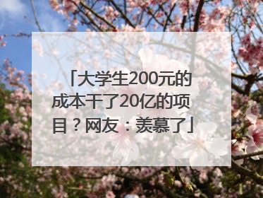 大学生200元的成本干了20亿的项目？网友：羡慕了