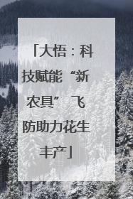 大悟：科技赋能“新农具” 飞防助力花生丰产