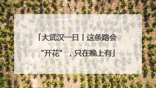 大武汉一日丨这条路会“开花”，只在晚上有