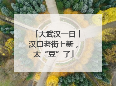 大武汉一日︱汉口老街上新，太“豆”了