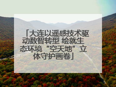 大连以遥感技术驱动数智转型 绘就生态环境“空天地”立体守护画卷