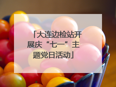 大连边检站开展庆“七一”主题党日活动
