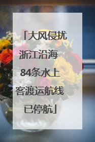 大风侵扰浙江沿海 84条水上客渡运航线已停航