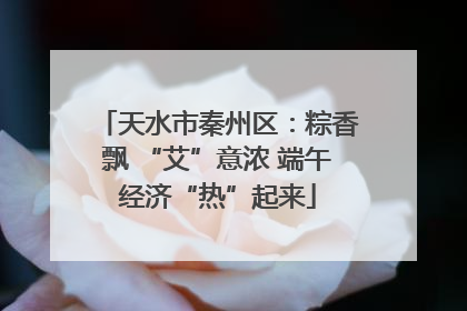 天水市秦州区：粽香飘 “艾”意浓 端午经济“热”起来