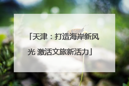 天津：打造海岸新风光 激活文旅新活力