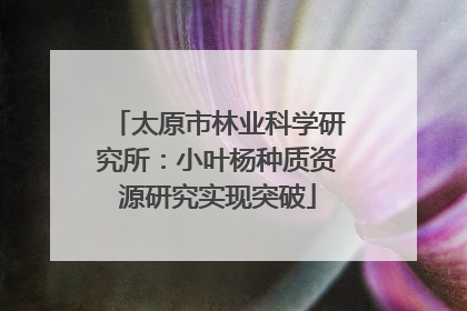 太原市林业科学研究所：小叶杨种质资源研究实现突破