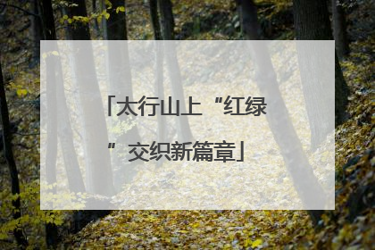 太行山上“红绿”交织新篇章