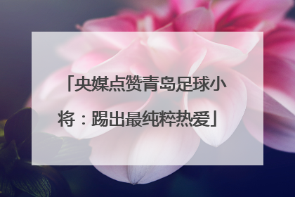 央媒点赞青岛足球小将：踢出最纯粹热爱