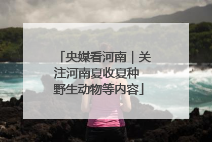 央媒看河南｜关注河南夏收夏种 野生动物等内容