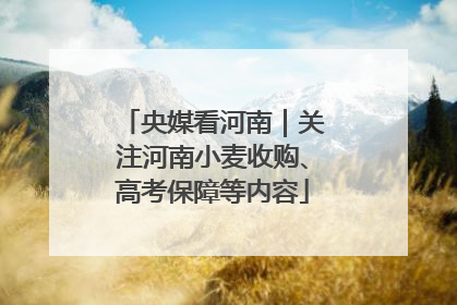 央媒看河南｜关注河南小麦收购、高考保障等内容