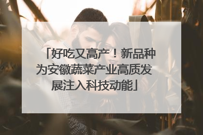 好吃又高产！新品种为安徽蔬菜产业高质发展注入科技动能