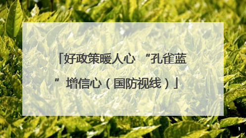 好政策暖人心 “孔雀蓝”增信心（国防视线）