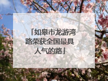 如皋市龙游湾路荣获全国最具人气的路