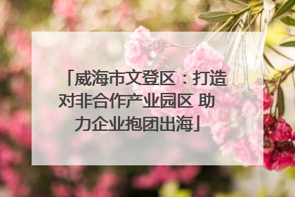 威海市文登区：打造对非合作产业园区 助力企业抱团出海