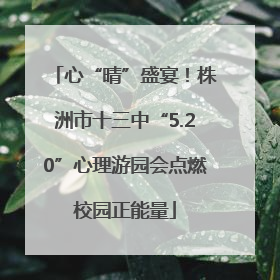 心“晴”盛宴！株洲市十三中“5.20”心理游园会点燃校园正能量