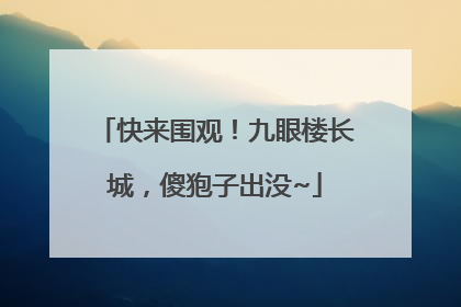 快来围观！九眼楼长城，傻狍子出没~