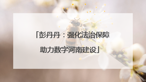 彭丹丹：强化法治保障 助力数字河南建设