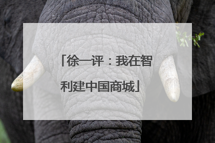 徐一评：我在智利建中国商城