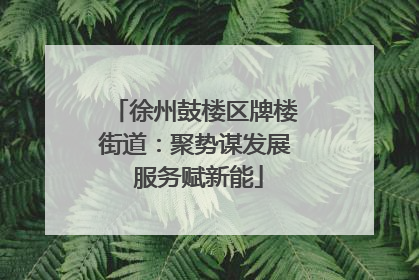 徐州鼓楼区牌楼街道：聚势谋发展 服务赋新能