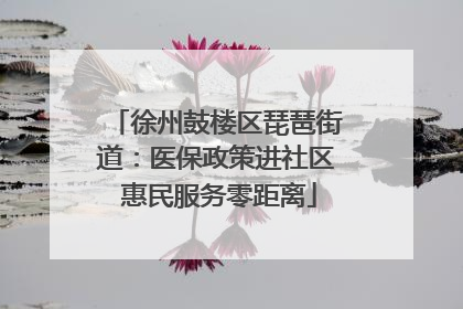 徐州鼓楼区琵琶街道：医保政策进社区 惠民服务零距离
