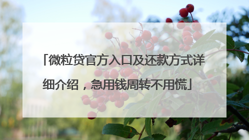 微粒贷官方入口及还款方式详细介绍，急用钱周转不用慌