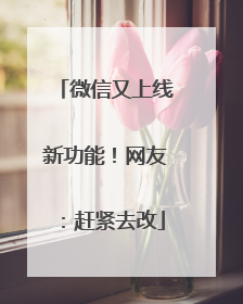 微信又上线新功能！网友：赶紧去改