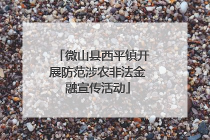微山县西平镇开展防范涉农非法金融宣传活动
