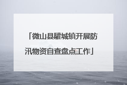 微山县驩城镇开展防汛物资自查盘点工作