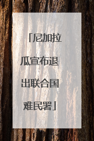 尼加拉瓜宣布退出联合国难民署