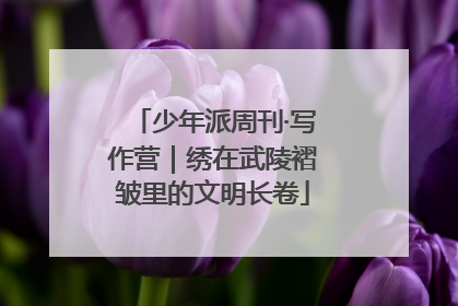 少年派周刊·写作营｜绣在武陵褶皱里的文明长卷