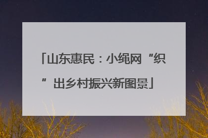 山东惠民：小绳网“织”出乡村振兴新图景