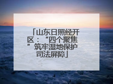 山东日照经开区：“四个聚焦”筑牢湿地保护司法屏障