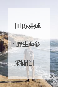 山东荣成：野生海参采捕忙