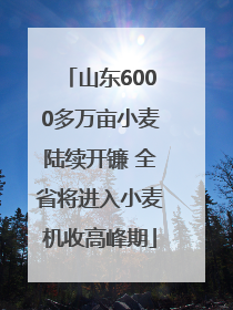 山东6000多万亩小麦陆续开镰 全省将进入小麦机收高峰期